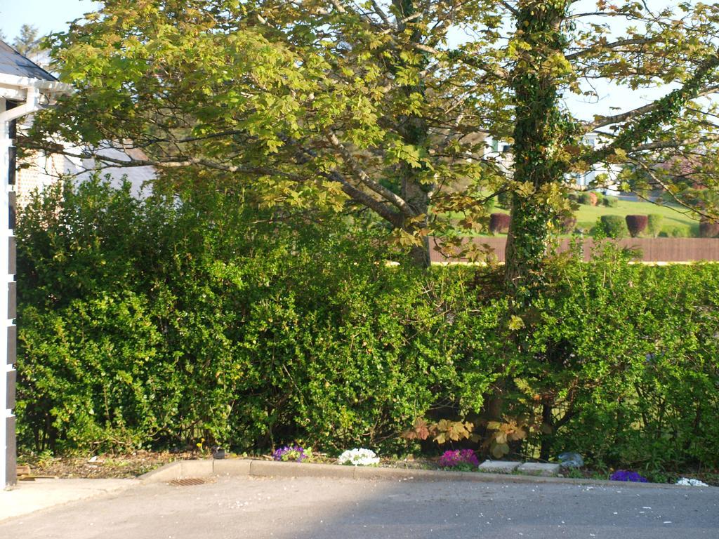 The River House Dungloe Exterior foto
