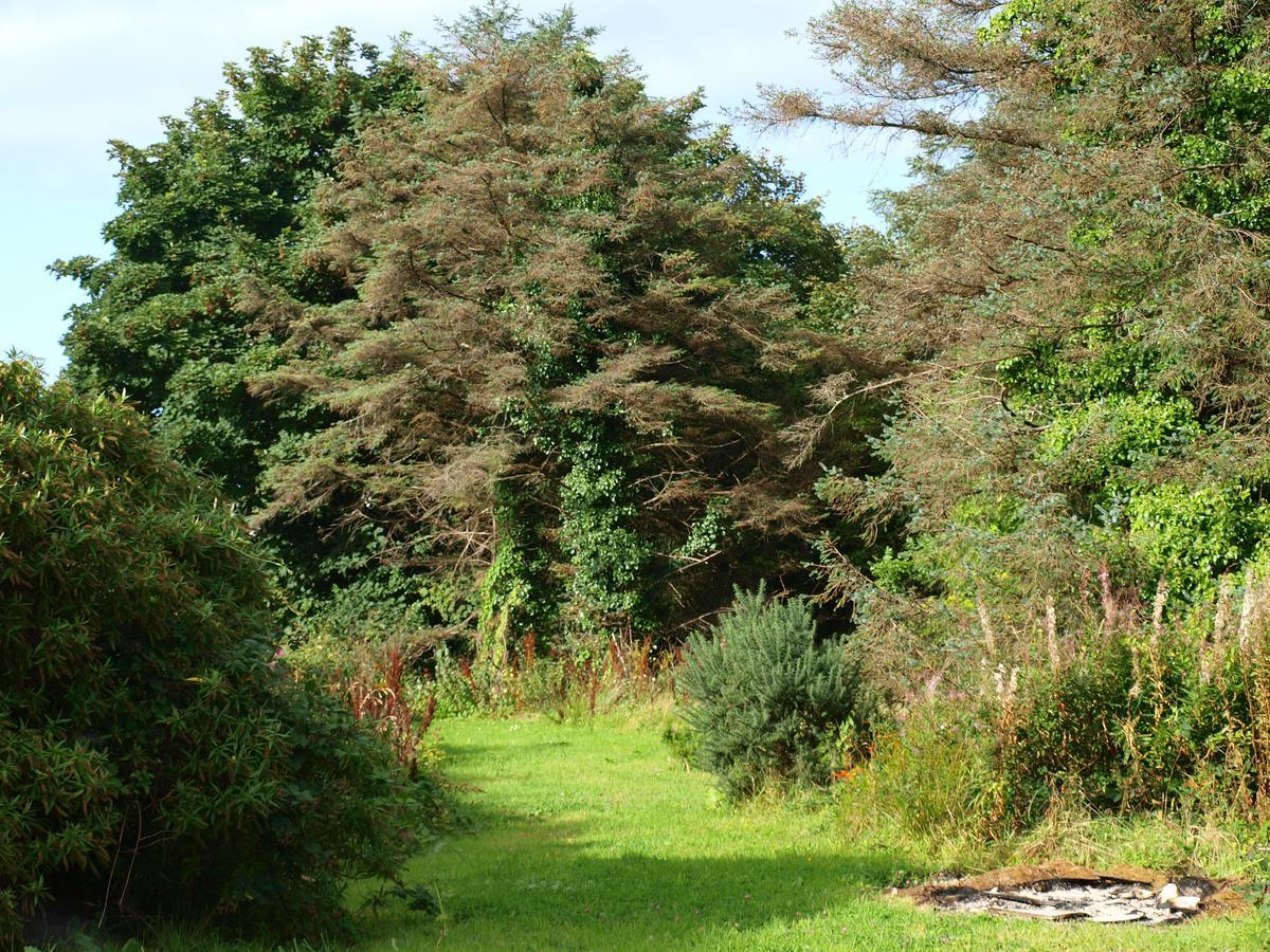The River House Dungloe Exterior foto